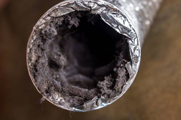 Best Air Duct Cleaning Near Me  in Yucos, CA